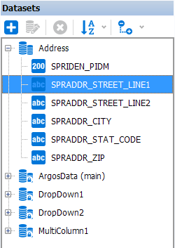 This image shows the Datasets pane which lists the added Datasets and associated fields.